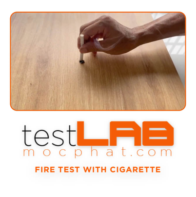 Fire Test With Cigarette