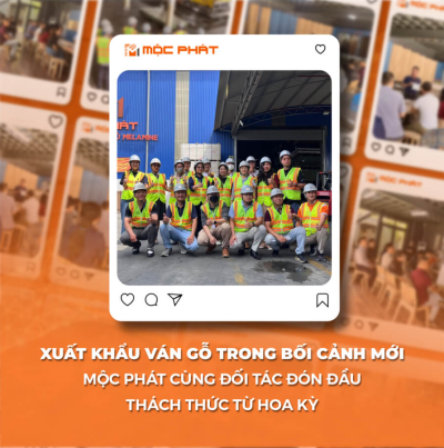 Xuất Khẩu Ván Gỗ Trong Bối Cảnh Mới: Mộc Phát Cùng Đối Tác Đón Đầu Thách Thức Từ Hoa Kỳ