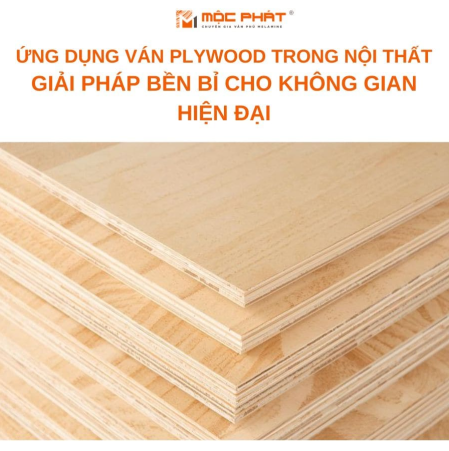 Ứng dụng ván Plywood trong nội thất: Giải pháp bền bỉ cho không gian hiện đại