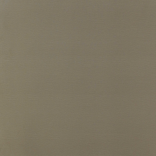 Melamine 0738