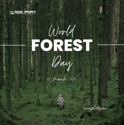 Happy World Forestry Day On March 21