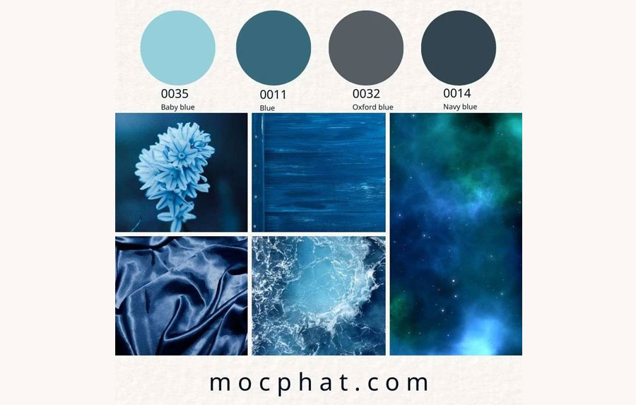 news/2025_tin_ung_dung/035_011_032_014/mocphat.com-moodboard-3-900x573.jpg